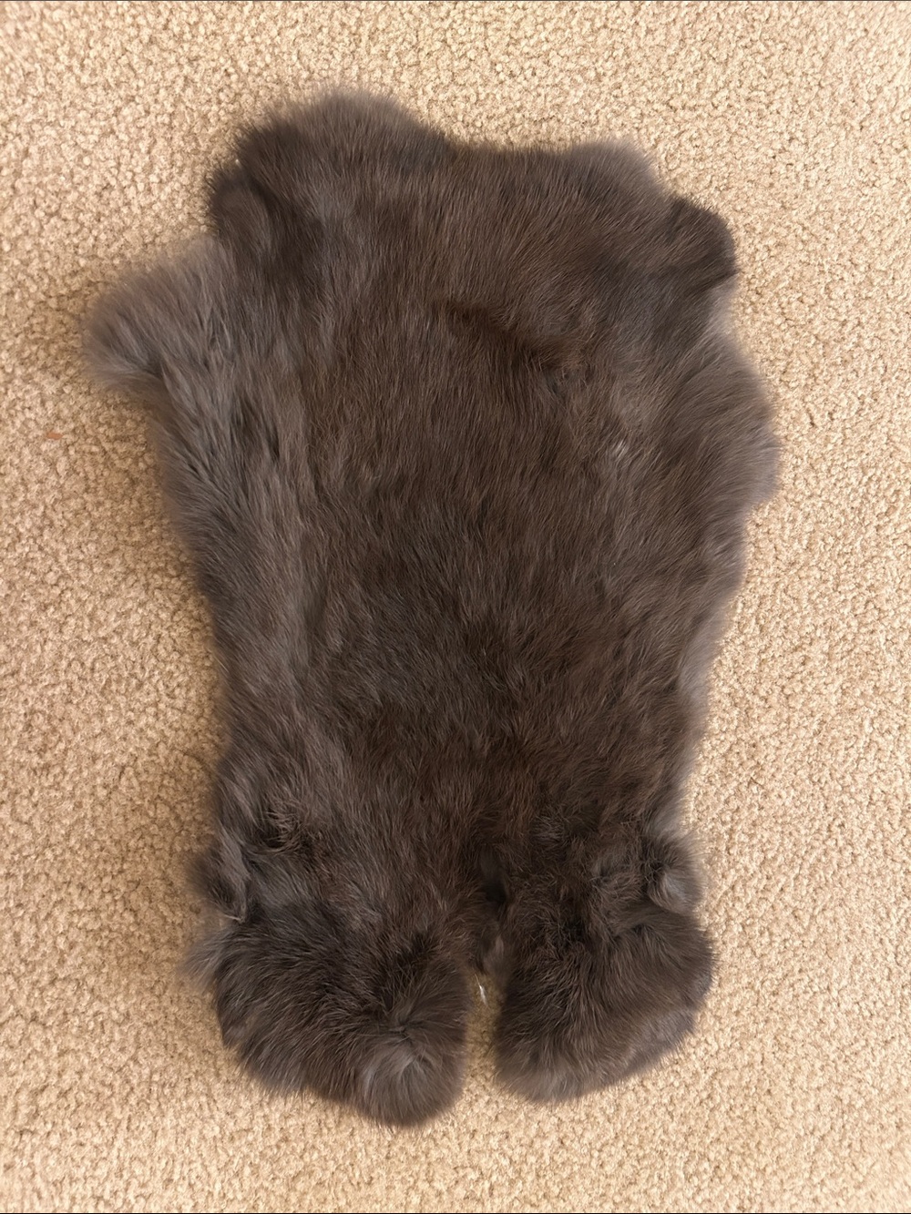 Rabbit fur gray